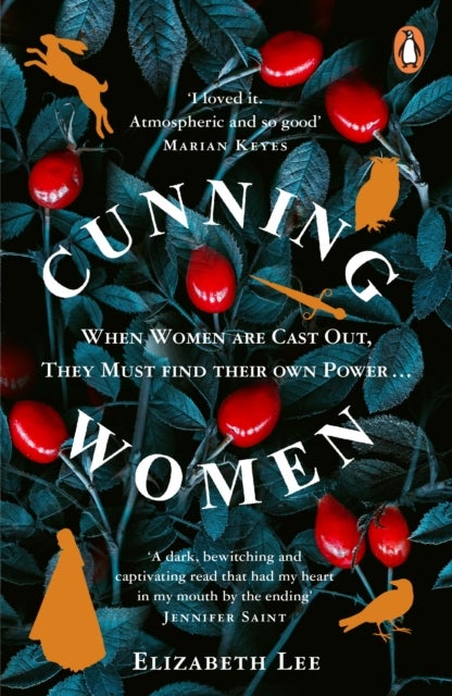 Cunning Women - A feminist tale of forbidden love after the witch trials