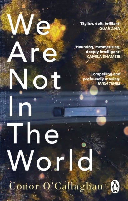 We Are Not in the World - ‘compelling and profoundly moving’ Irish Times