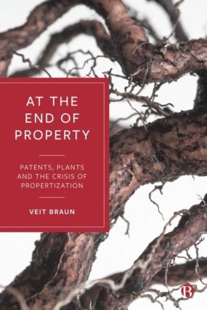 At the End of Property - Patents, Plants and the Crisis of Propertization