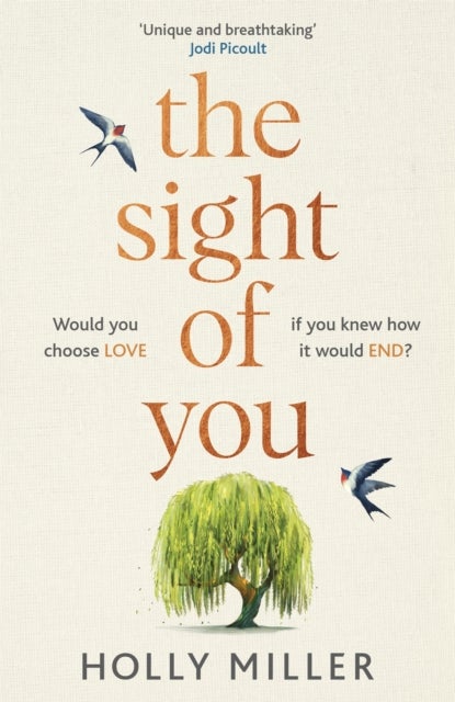 The Sight of You - An unforgettable love story and Richard & Judy Book Club pick