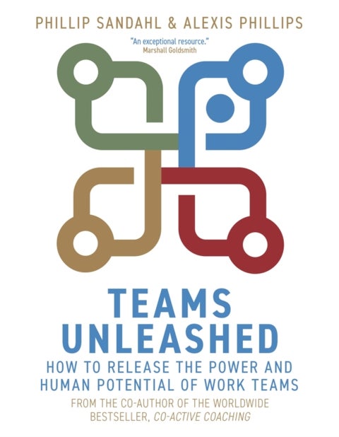 Teams Unleashed - How to Release the Power and Human Potential of Work Teams
