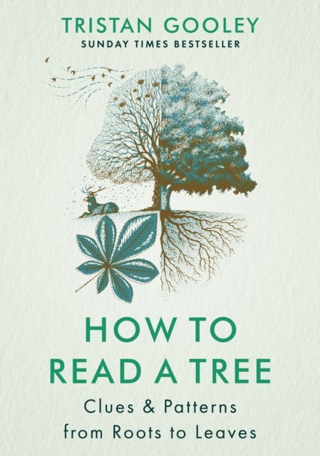 How to Read a Tree - Clues & Patterns from Roots to Leaves