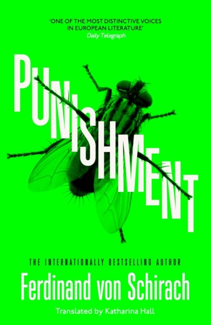 Punishment - The gripping international bestseller