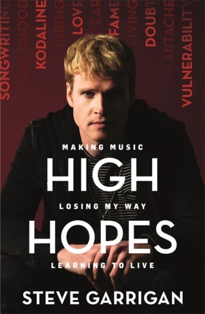 High Hopes - Making Music, Losing My Way, Learning to Live