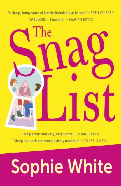 The Snag List - A smart and laugh-out-loud funny novel about female friendship