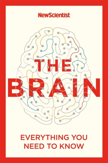 The Brain - Everything You Need to Know