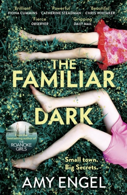 The Familiar Dark - The must-read, utterly gripping thriller you won't be able to put down