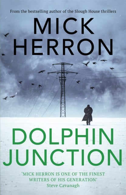 Dolphin Junction: Stories