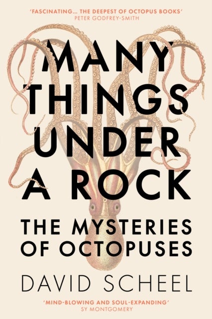 Many Things Under a Rock - The ‘mind-blowing’ book that reveals the mysteries of the octopus, perfect for all science enthusiasts and fans of David Attenborough
