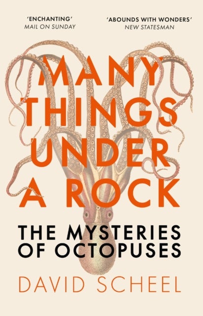Many Things Under a Rock - The ‘mind-blowing’ book that reveals the mysteries of the octopus, perfect for all science enthusiasts and fans of David Attenborough