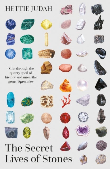 The Secret Lives of Stones - 'A real cabinet of curiosities' SUNDAY TIMES