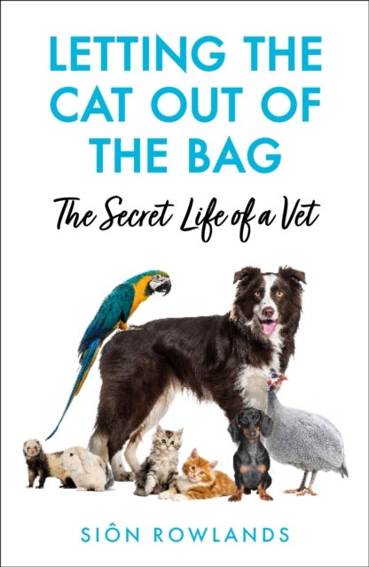 Letting the Cat Out of the Bag - The Secret Life of a Vet