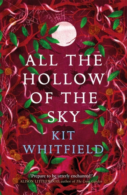 All the Hollow of the Sky - An enthralling novel of fae, folklore and forests