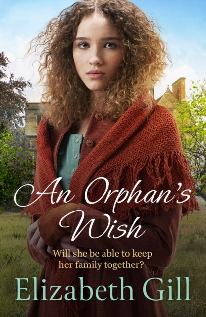 An Orphan's Wish - a moving and uplifting story of one family's efforts to come together in the face of adversity