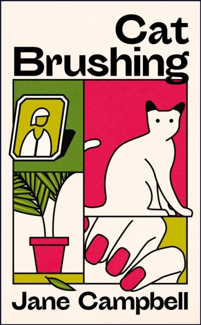 Cat Brushing - a dazzling short story collection about thirteen older women