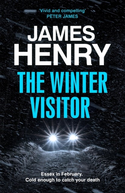 The Winter Visitor - the explosive new thriller set in the badlands of Essex