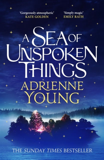 A Sea of Unspoken Things - a spellbinding mystery to lose yourself in
