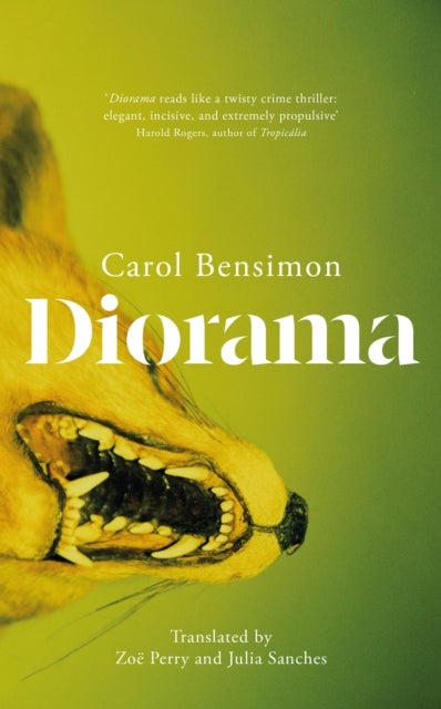 Diorama - an engrossing suspense novel set in 1980s Brazil