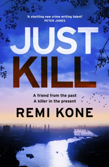 Just Kill - a twisting, addictive crime thriller that will keep you guessing
