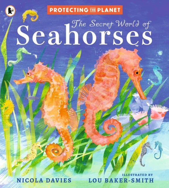 Protecting the Planet: The Secret World of Seahorses - A fact-filled picture book for animal-loving kids from bestselling zoologist Nicola Davies, perfect for ages 5-8