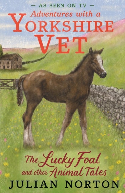 Adventures with a Yorkshire Vet: The Lucky Foal and Other Animal Tales - The perfect Christmas present for readers age 8+ who love animals great and small