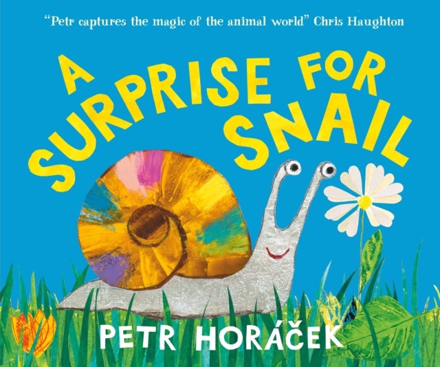 A Surprise for Snail