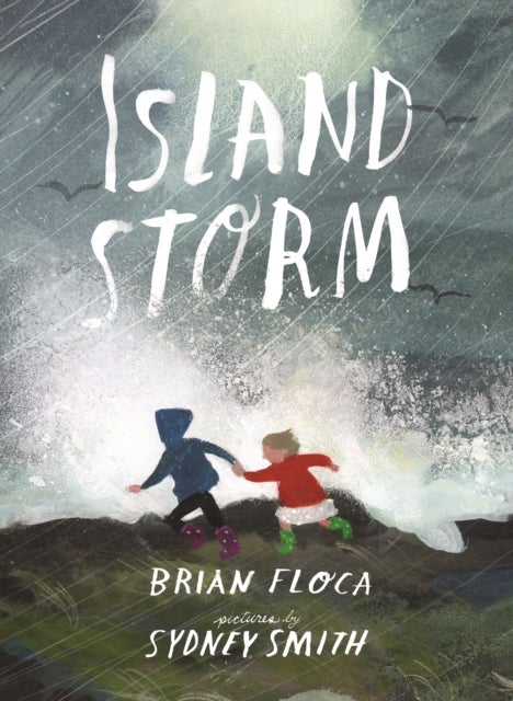 Island Storm - A stunningly illustrated picture book of two siblings experiencing the power of the natural world, illustrated by Sydney Smith, winner of the Hans Christian Andersen Award and Kate Greenaway Medal, ages 4, 5, 6, 7