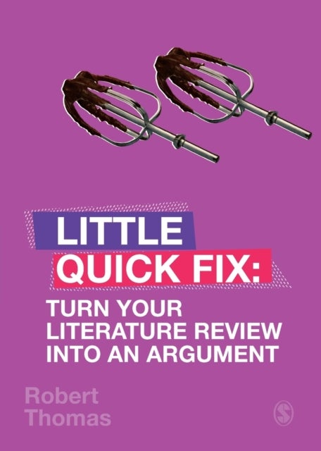 Turn Your Literature Review Into An Argument - Little Quick Fix