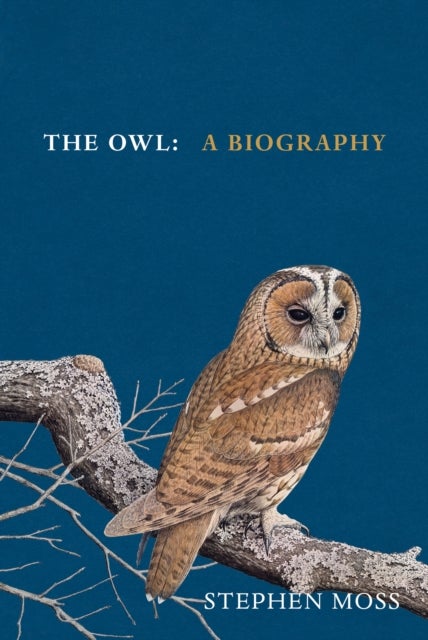 The Owl - A Biography