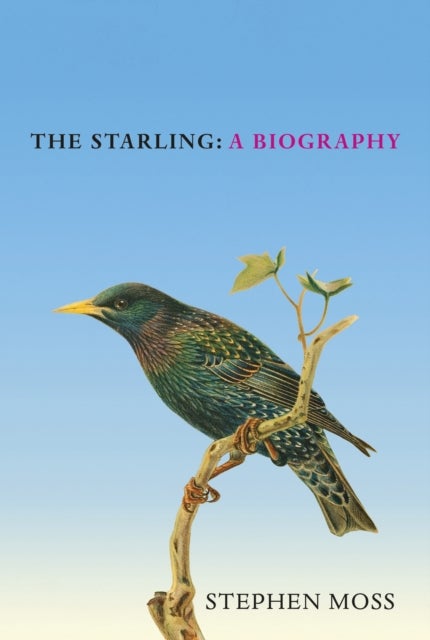 The Starling - A Biography