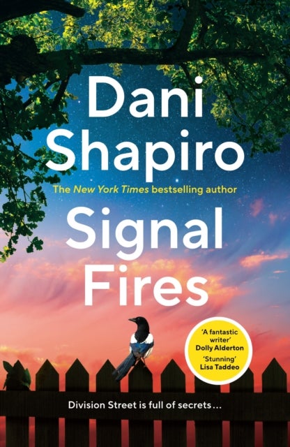 Signal Fires - The addictive new novel about secrets and lies from the New York Times bestseller