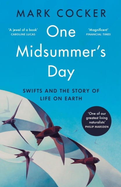 One Midsummer's Day - Swifts and the Story of Life on Earth