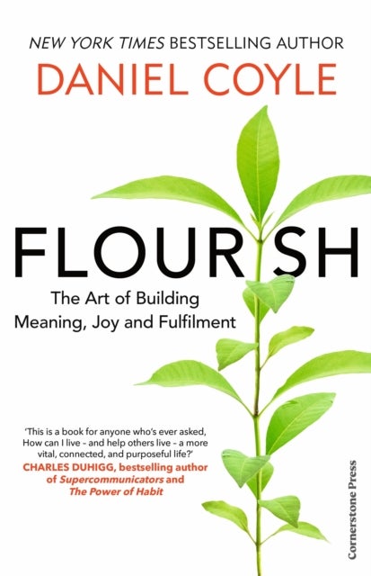 Flourish - The Art of Building Meaning, Joy and Fulfilment