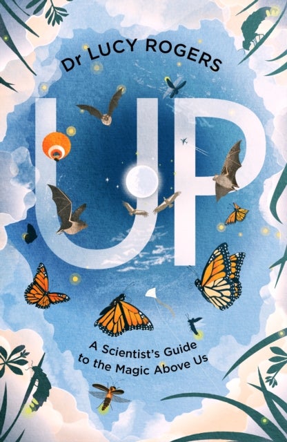Up - A scientist's guide to the magic above us