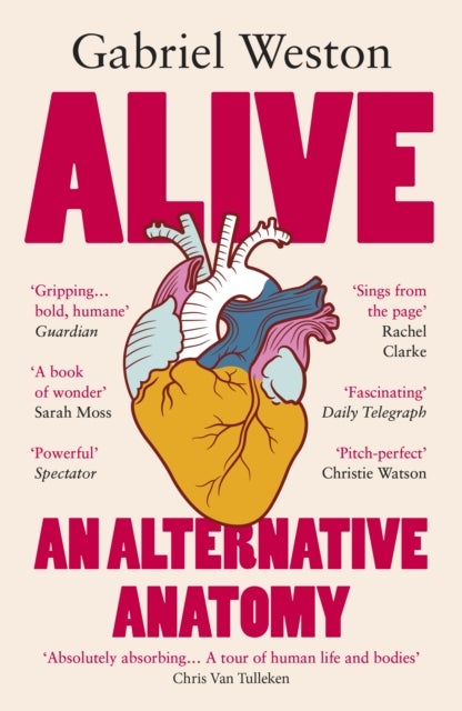 Alive - An Alternative Anatomy
