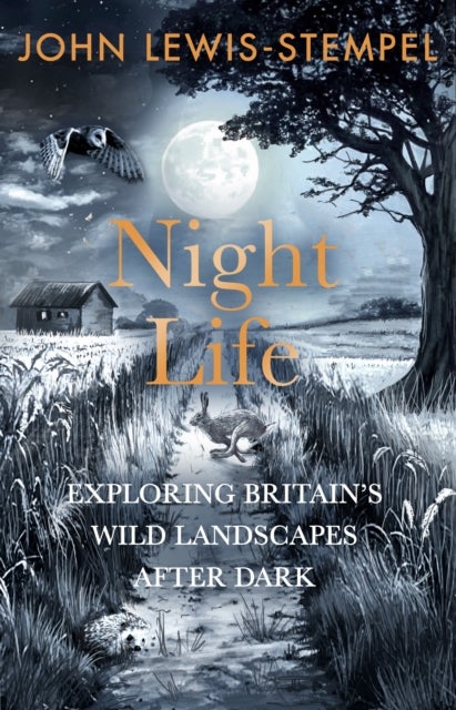 Night Life - Walking Britain’s wild landscapes after dark
