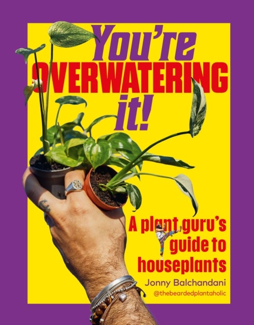 You're Overwatering It! - A Plant Guru’s Guide to Houseplants