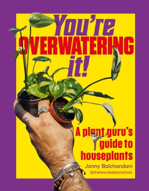 You're Overwatering It! - A Plant Guru’s Guide to Houseplants
