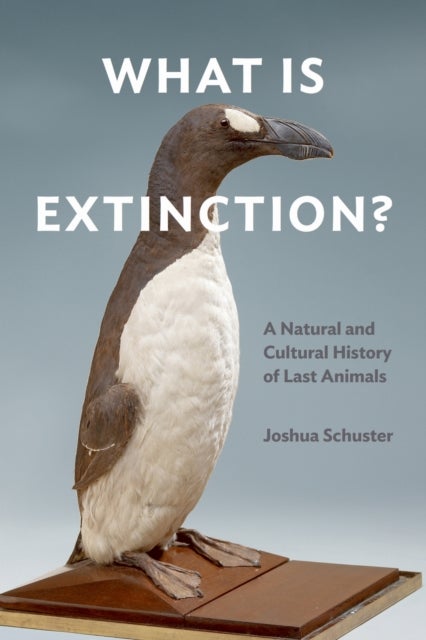 What Is Extinction? - A Natural and Cultural History of Last Animals