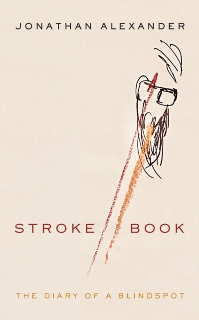 Stroke Book - The Diary of a Blindspot