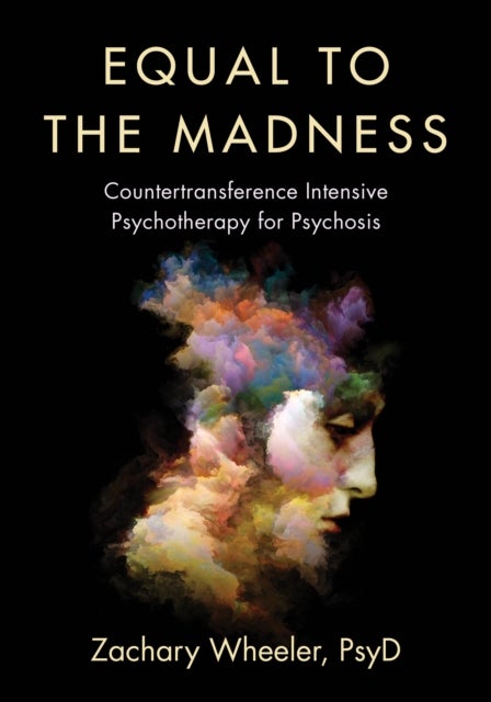 Equal to the Madness - Countertransference Intensive Psychotherapy for Psychosis