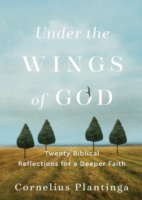 Under the Wings of God ¿ Twenty Biblical Reflections for a Deeper Faith