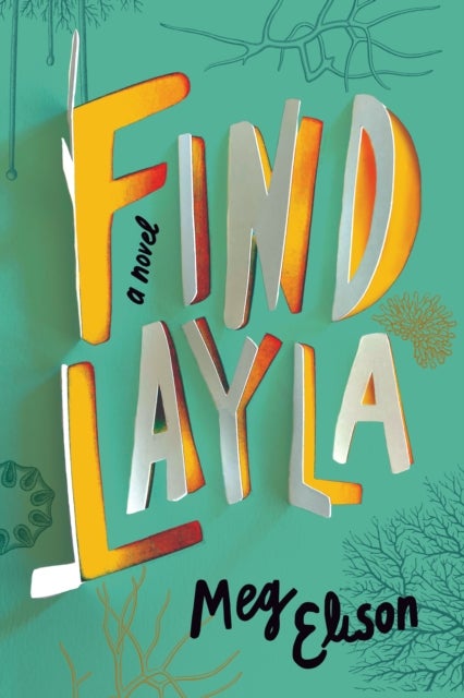 Find Layla - A Novel