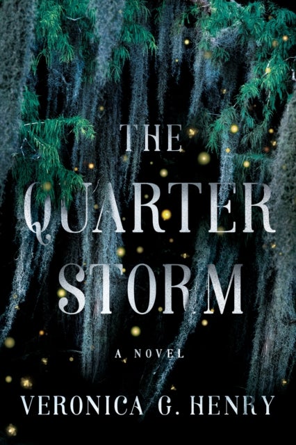 The Quarter Storm - A Novel