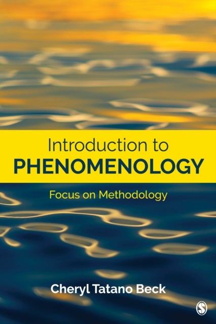 Introduction to Phenomenology - Focus on Methodology