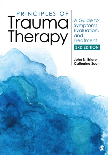 Principles of Trauma Therapy - A Guide to Symptoms, Evaluation, and Treatment