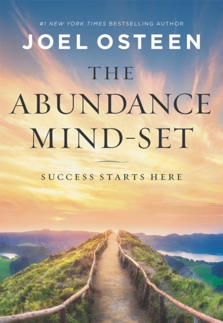 The Abundance Mind-Set - Success Starts Here