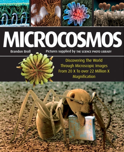 Microcosmos - Discovering The World Through Microscopic Images From 20 X to Over 22 Million X Magnification