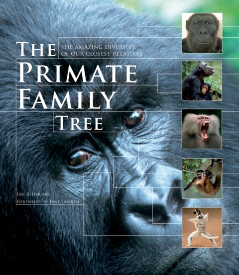 The Primate Family Tree - The Amazing Diversity of Our Closest Relatives
