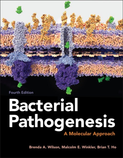 Bacterial Pathogenesis - A Molecular Approach